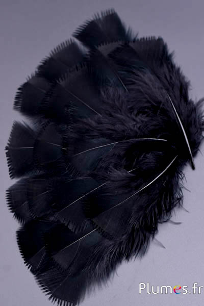 Dinde effilée - 6-8 cm - noir